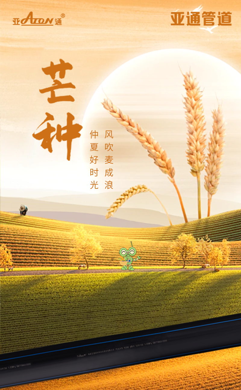 芒種 | 風吹麥成浪，仲夏好時光