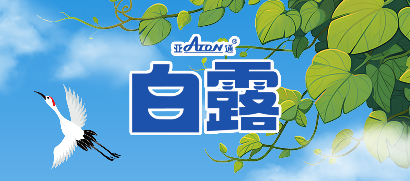 白露 | 日漸轉涼，寒生凝露