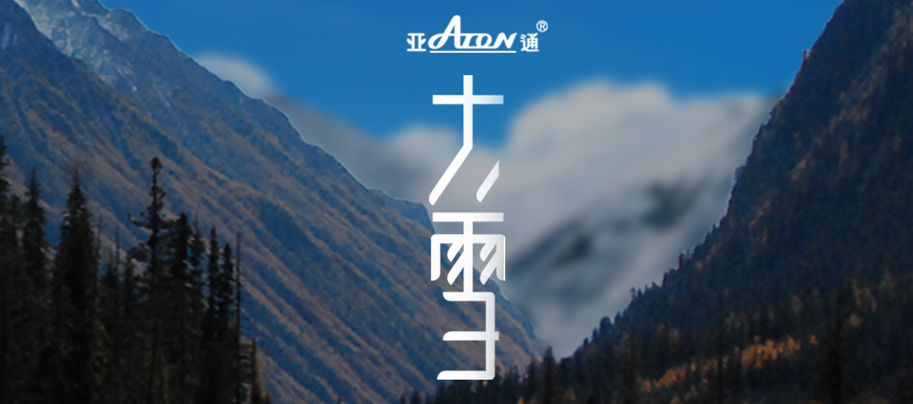 大雪 | 大雪漸寒，歲暮清歡