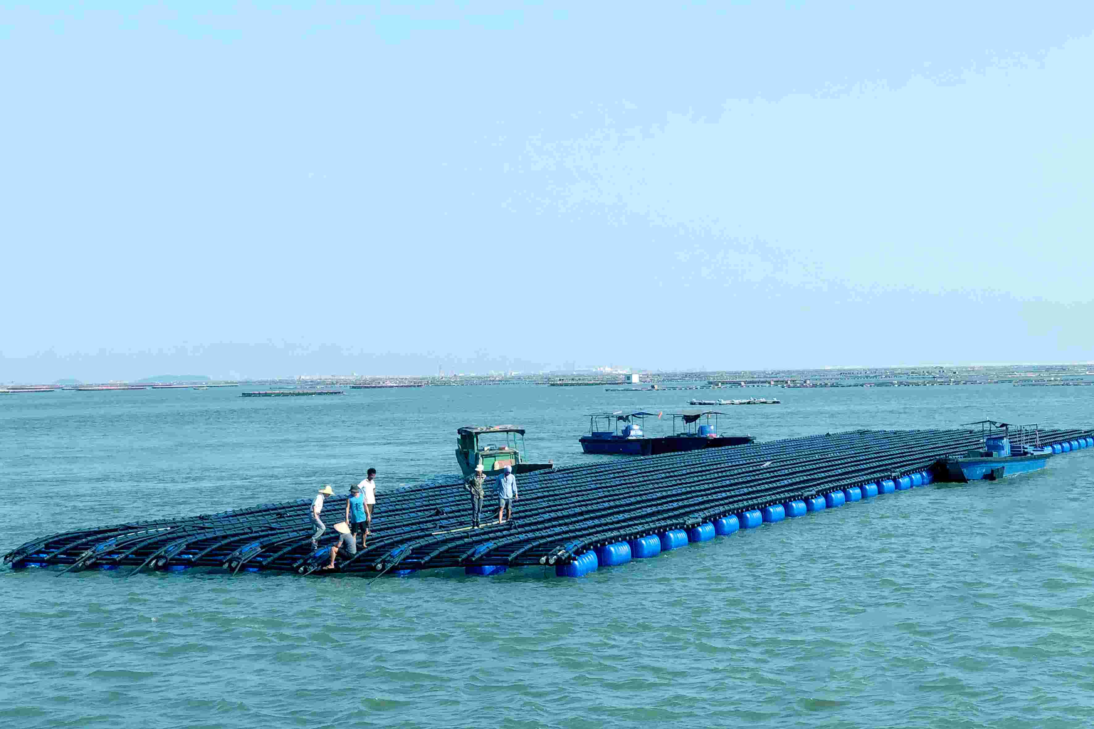 亞通海洋養殖裝備設施系統-深海抗風浪蠔排(第一代)